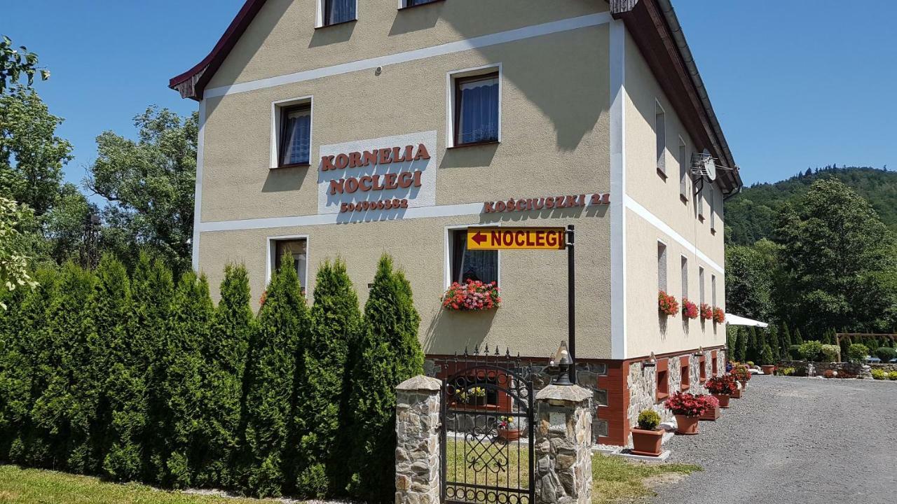 Kornelia Pokoje Goscinne Stronie Slaskie Exterior foto